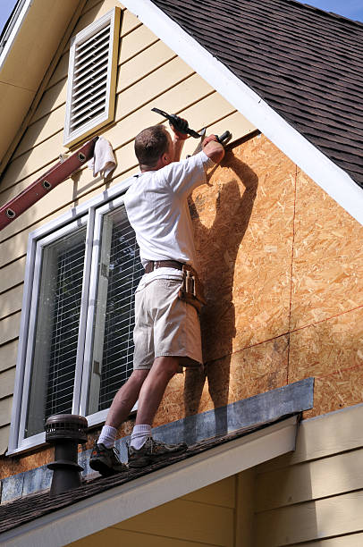 Best Insulated Siding Installation  in San Bruno, CA